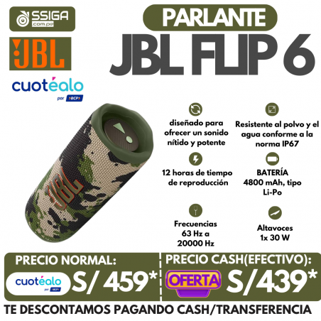 Parlante Jbl Flip 6 camuflado